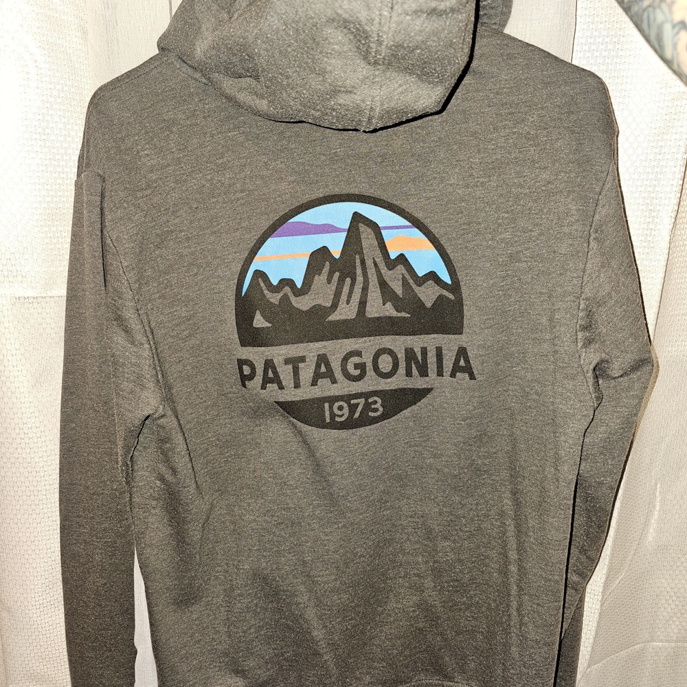Patagonia Gray Hoodie with Multicolor Mountain Logo
